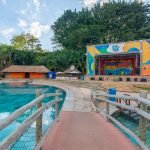 453257161_808401558031767_1174670820807420377_n