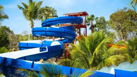 Atrações Thermas Water Park - Parque da Baleia