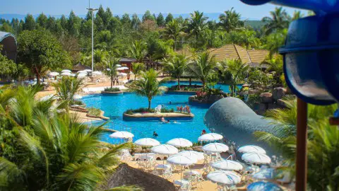 turis-thermas-imagem-galeria-atracoes-thermas-water-park-parque-da-baleia-65b69fa5a5f0d_4.webp