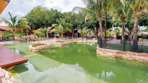 turis-thermas-imagem-galeria-black-friday-carpe-diem-eco-resort-6722a5064146e_4.webp turis-thermas-imagem-galeria-black-friday-carpe-diem-eco-resort-6722a5064146e_4.webp