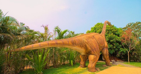 Ingressos Vale dos Dinossauros | Olímpia SP