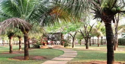 Pacotes e Hosedagem Pousada Tropical Vereda | Olimpia SP