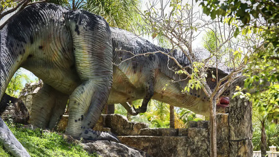 Atrações Thermas Water Park - Mundo Pré-histórico