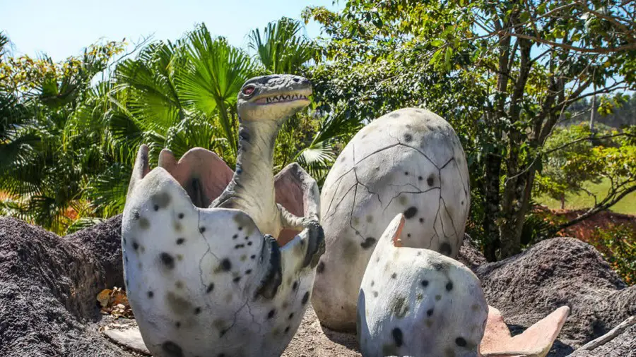 Atrações Thermas Water Park - Mundo Pré-histórico